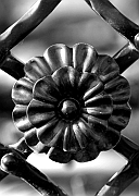 Wall_Art_Alphabet_Photography_Art_ 1600
